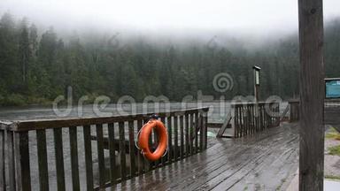 <strong>黑森林</strong>或施瓦茨瓦尔德降雨时Mummelsee湖水的运动